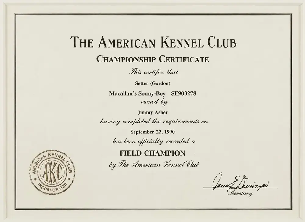 AKC Field Champion
